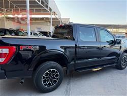 فۆرد F-150